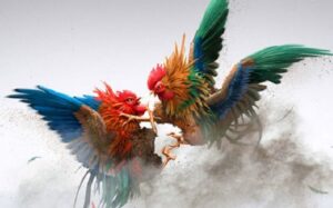 Luật chơi đá gà trực tiếp Thomo cực đơn giản và dễ tiếp cận, hình dung nhất